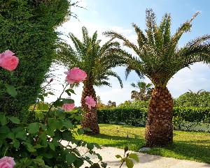 Hotel ALEXANDROS PALACE HOTEL & SUITES wakacje