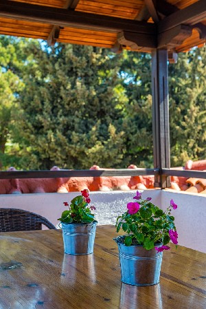 Quad Standard Room (Balcony or Terrace)