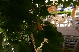 Hotel BLUE SEA HOTEL CORFU wakacje