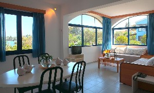 Room-1 bedroom apartment