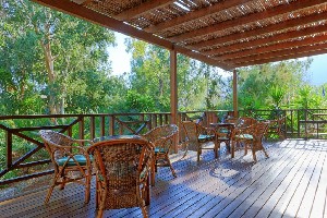 Hotel APOLLONIA BEACH RESORT & SPA wakacje