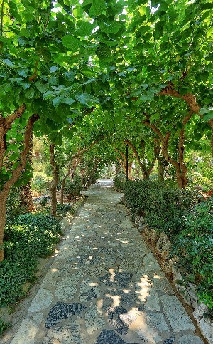 Hotel APOLLONIA BEACH RESORT & SPA wakacje