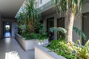 JuniorSuite (Inland View)