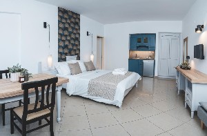 Hotel ZEUS VILLAGE wakacje