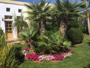 Hotel DEDALOS HOTEL wakacje