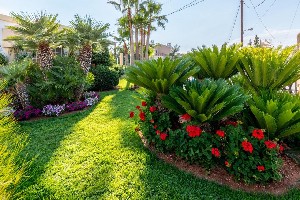 Hotel DEDALOS HOTEL wakacje