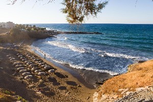 Hotel PANORMO BEACH wakacje