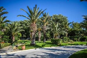 Hotel CRETA STAR wakacje