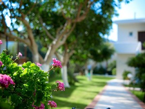 Hotel KATRIN HOTEL & BUNGALOWS wakacje