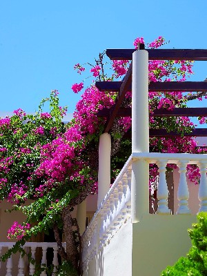 Hotel ELOTIS SUITES wakacje