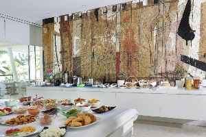 Hotel MYKONOS DOVE BEACHFRONT HOTEL wakacje