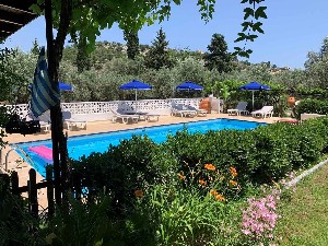 pool garden
