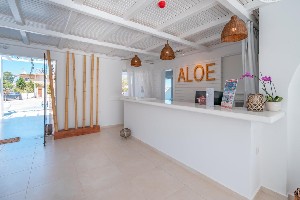 Hotel ALOE wakacje