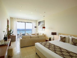 Beachfront Grand Suite Private Pool Rooftop Pool