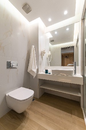 Room Bathroom