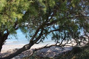 Hotel ASTERIAS BAY wakacje