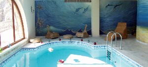 Spa and wellness