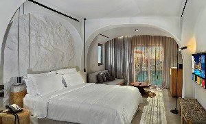 Junior Suite Private Plunge Pool