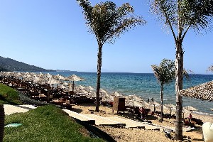 Plaża