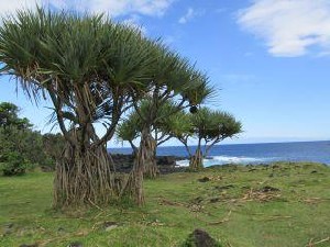 IMG_2582