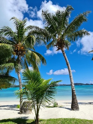 Hotel L'ARCHIPEL wakacje