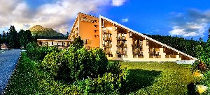 Hotel FIS