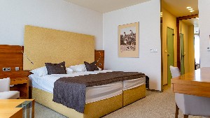 Hotel MOUNTAIN VIEW wakacje