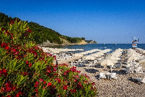 Hotel SAN SIMON RESORT wakacje