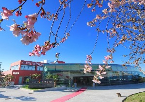 Hotel Histrion