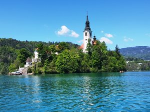 Bled 3