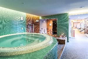 Hotel ALPINA wakacje