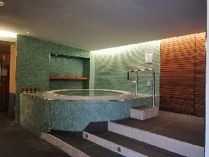 Hotel ALPINA wakacje