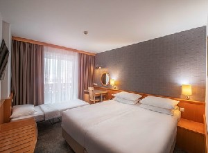 Triple Room (MountainView)