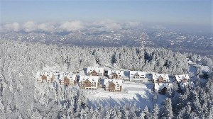 Hotel FOREST HOTEL VIDEC wakacje