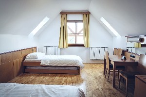 Hotel FOREST HOTEL VIDEC wakacje