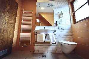 Hotel FOREST HOTEL VIDEC wakacje