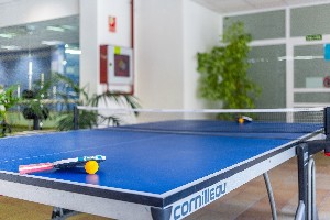 Recreational facility