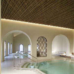 Spa and wellness