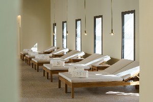 Spa and wellness