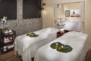 Spa and wellness