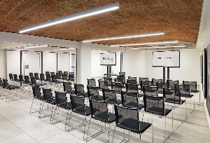 Conference Facilities