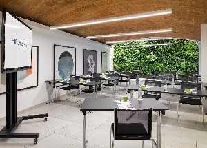 Conference Facilities