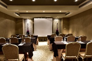 Conference Facilities