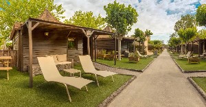 Hotel MAGIC ROBIN HOOD wakacje