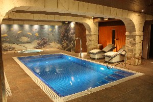 Spa and wellness