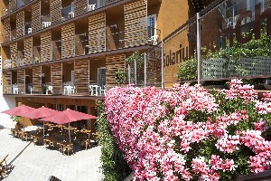 Hotel exterior