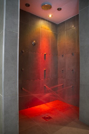 Spa and wellness