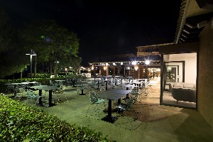 Bar Terrace