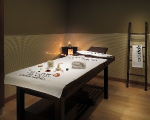 Spa and wellness
