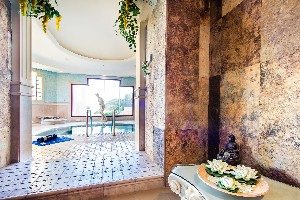 Spa and wellness